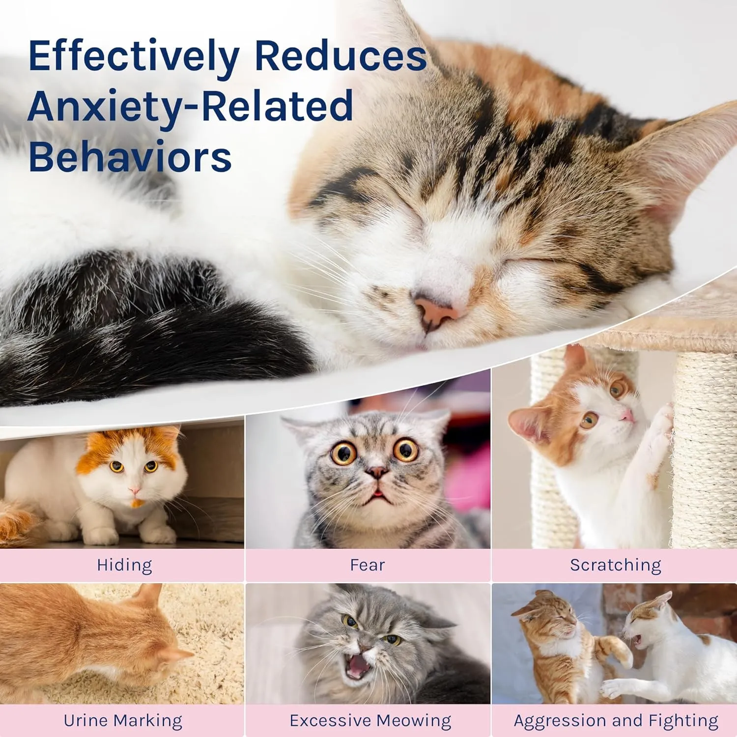 Cat Calming Pheromones Diffuser Refill: 2 Classic Dogs Plug in Diffusers for Relaxation & Comfort - Reduce Stress Barking & Scratching - Indoor 60 Days Supply