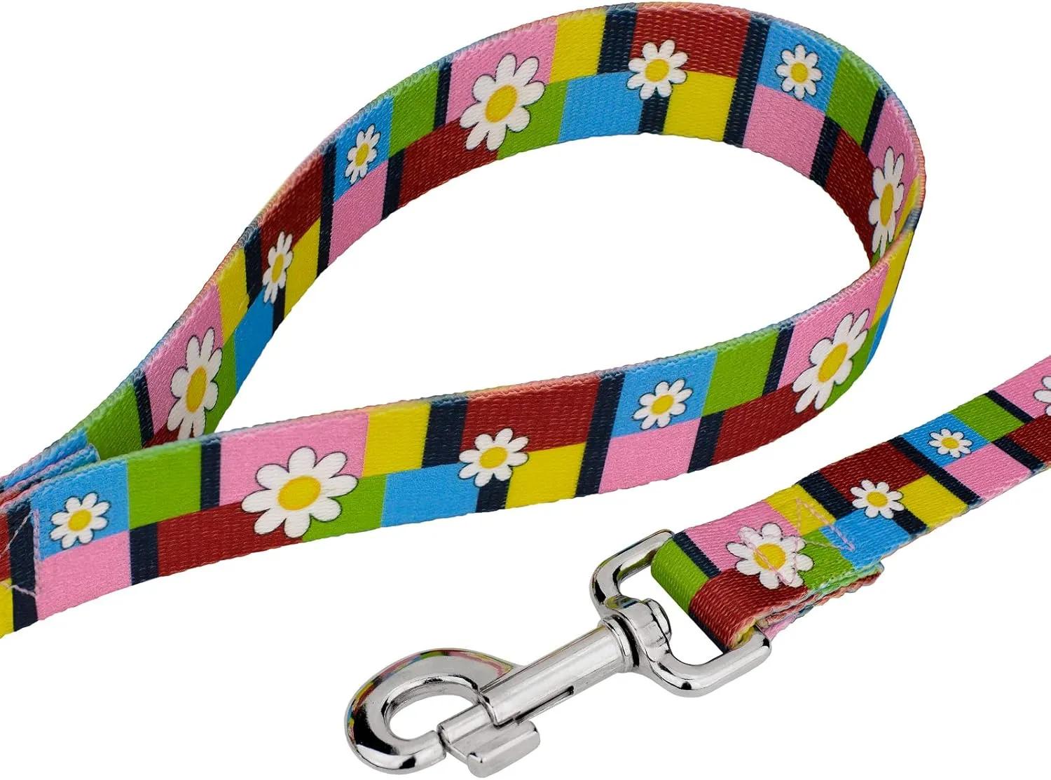 Country Brook Petz - Spring Daisies Martingale Dog Collar and Leash - Floral Collection Featuring Charming Designs (5/8 Inch, Small)