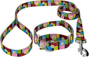 Country Brook Petz - Spring Daisies Martingale Dog Collar and Leash - Floral Collection Featuring Charming Designs (5/8 Inch, Small)
