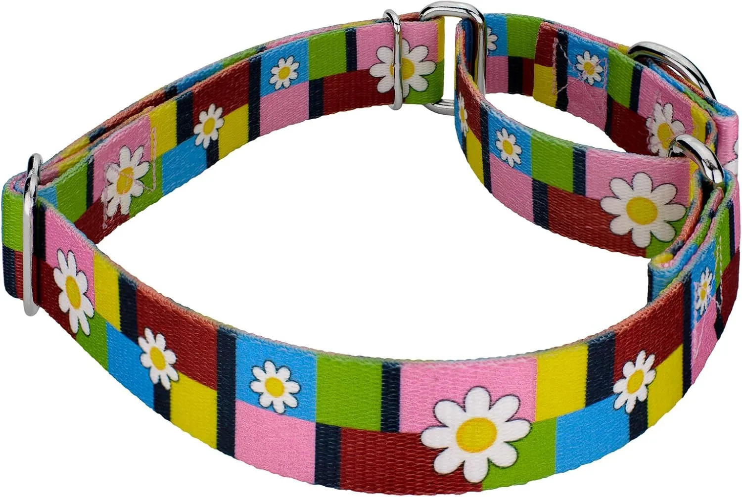 Country Brook Petz - Spring Daisies Martingale Dog Collar and Leash - Floral Collection Featuring Charming Designs (5/8 Inch, Small)