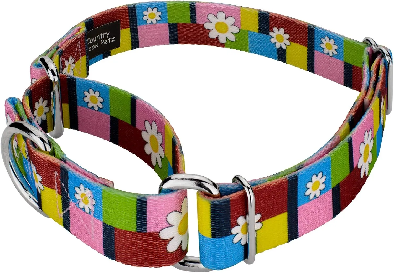 Country Brook Petz - Spring Daisies Martingale Dog Collar and Leash - Floral Collection Featuring Charming Designs (5/8 Inch, Small)