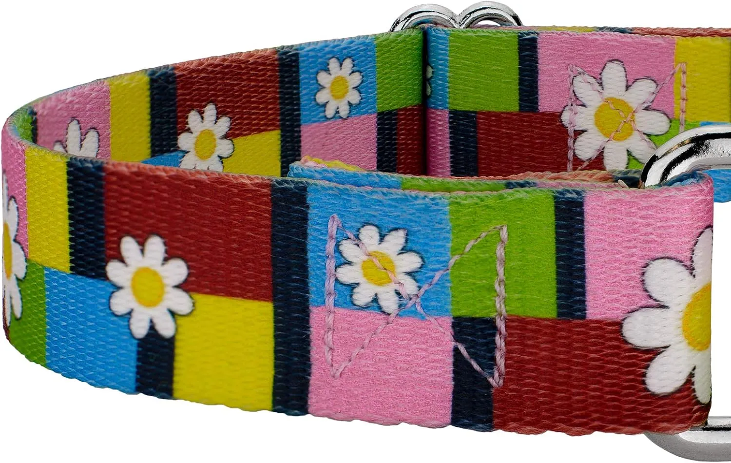 Country Brook Petz - Spring Daisies Martingale Dog Collar and Leash - Floral Collection Featuring Charming Designs (5/8 Inch, Small)
