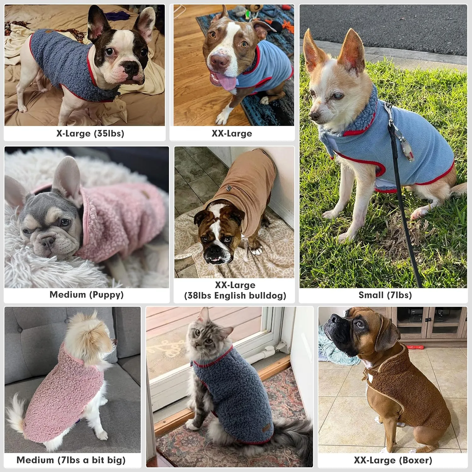Cyeollo Reversible Dog Jacket - Winter Fleece Sweater & Sherpa Vest for Small Dogs & Cats, Blue L