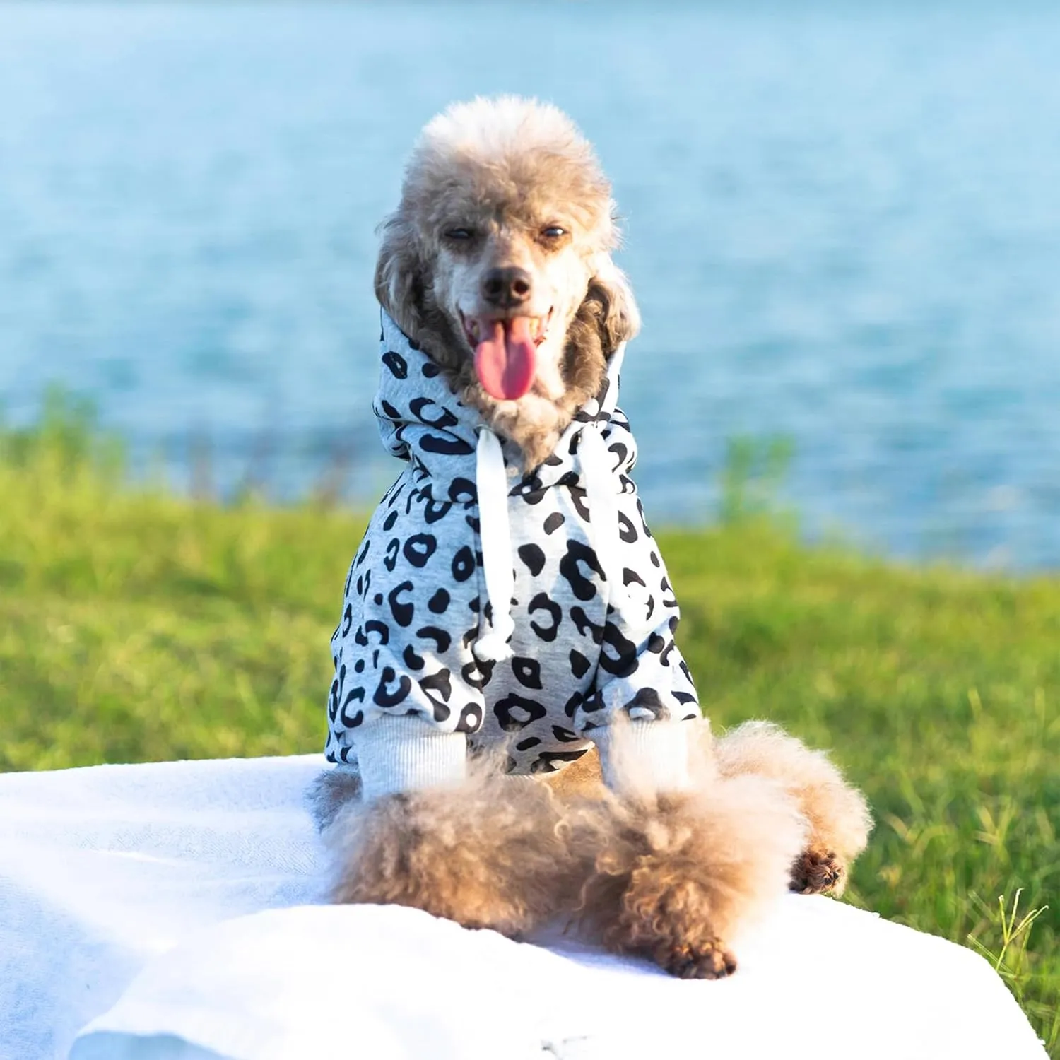 Dog Leopard Hooded Sweatshirt with Hat, Dogs Clothes Lightweight Puppy Hoodie for Small Dog Cat, Doggy Hoody Outfits Cat Apparel
