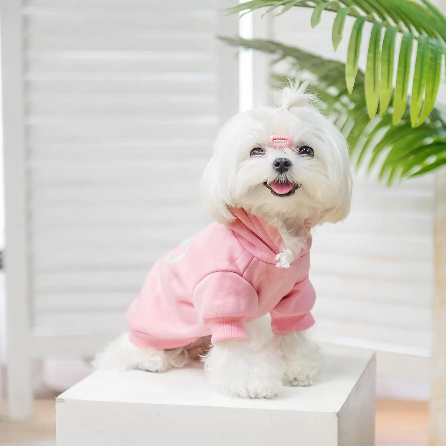 EXPAWLORER Princess Dog Cat Fleece Sweatershirt Hoodies Pink M