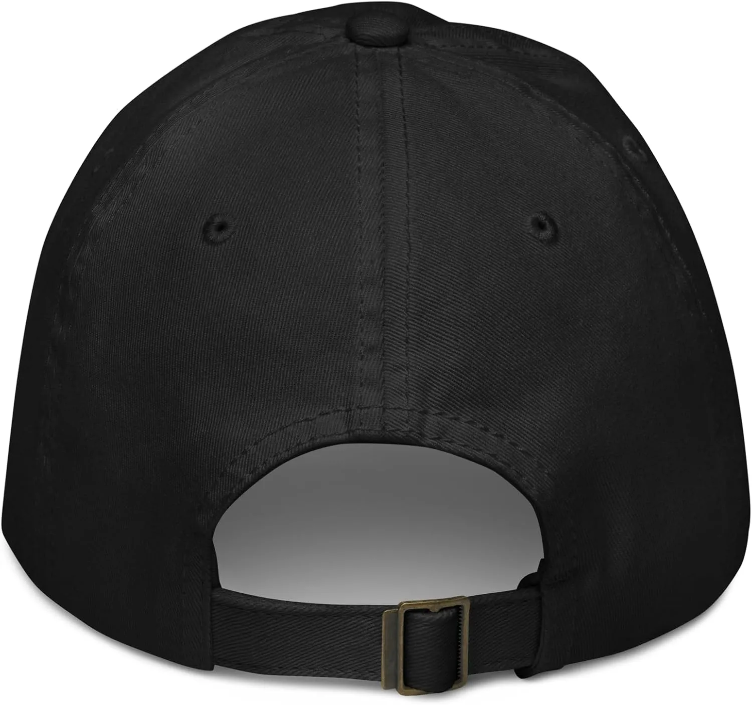 Franklin & Marshall Diplomats Title Officially Licensed Adjustable Baseball Hat