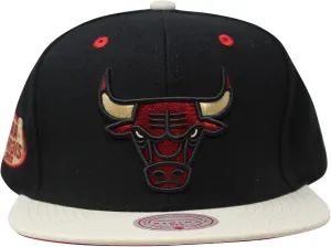 Mitchell & Ness Pin Drop Snapback Adjustable Cap