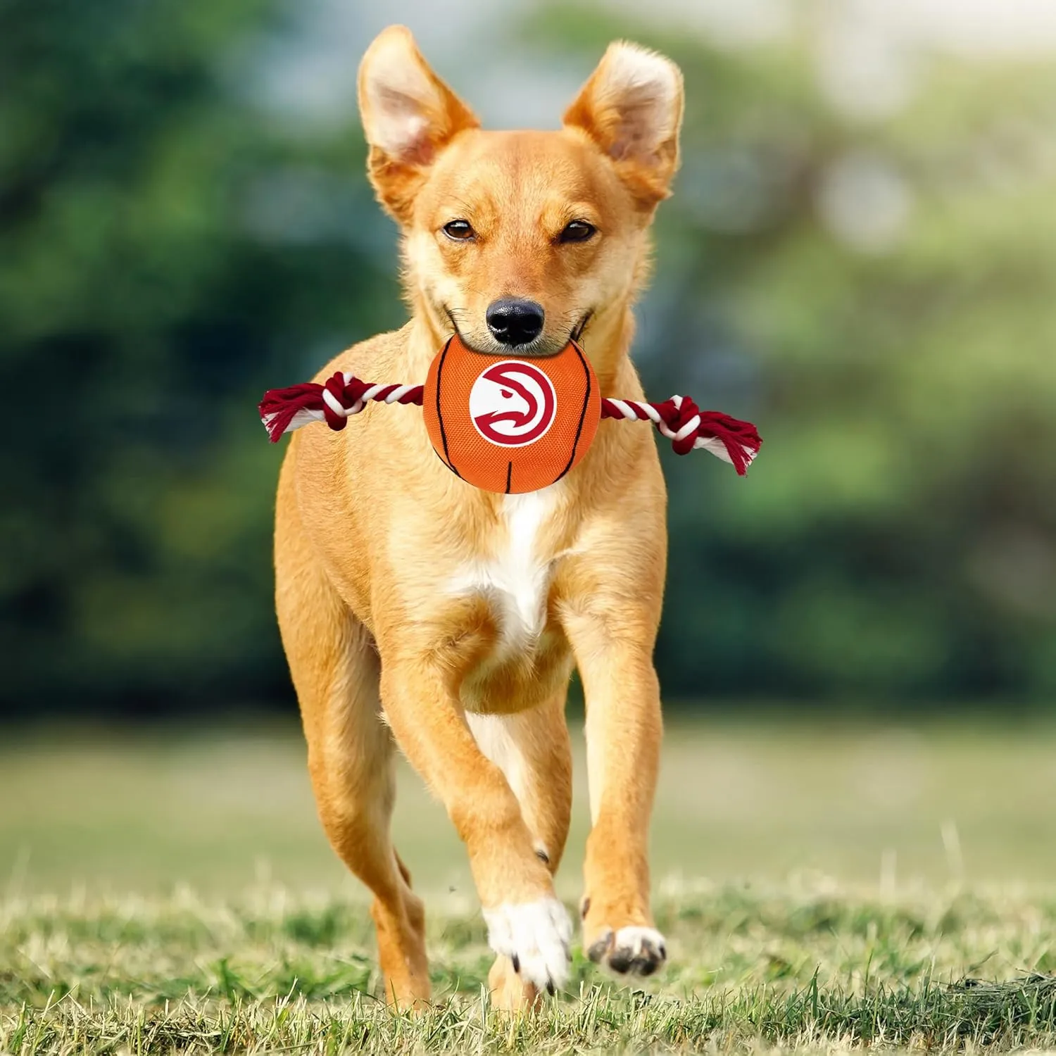 NBA Atlanta Hawks Basketball Toy. - Tough Nylon Pet Toy with Tug Ropes & Inner Squeaker
