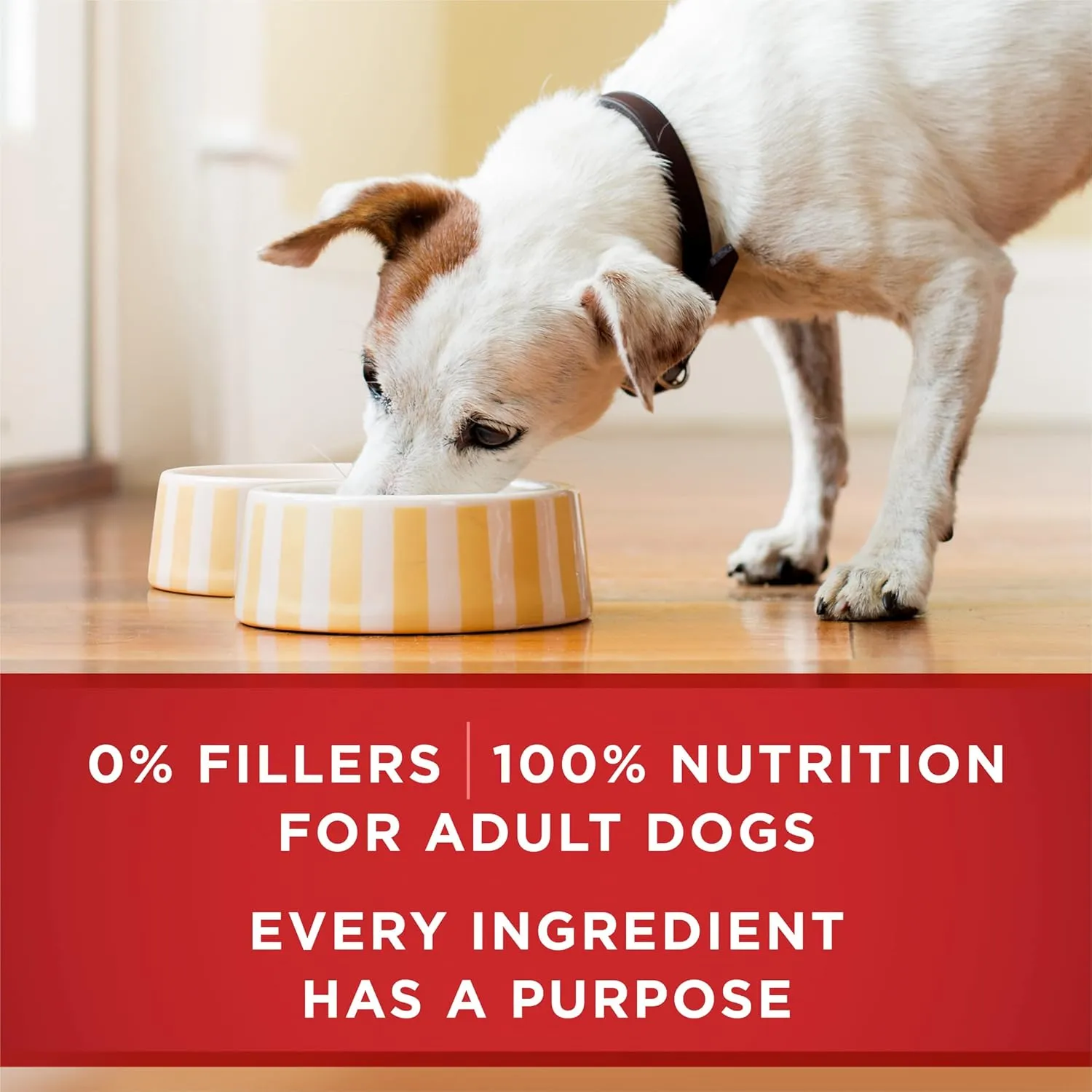 Purina ONE Classic Ground Chicken and Brown Rice Entree Adult Wet Dog Food - (Pack of 12) 13 oz. Cans