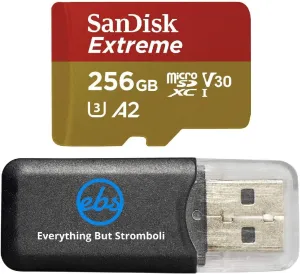 SanDisk Extreme 256GB MicroSD Card for Mavic Mini 2 DJI Drone Flycam - Class 10 4K UHD U3 A2 V30 SDXC (SDSQXAV-256G-GN6MN) Bundle with (1) Everything But Stromboli MicroSDXC Memory Card Reader
