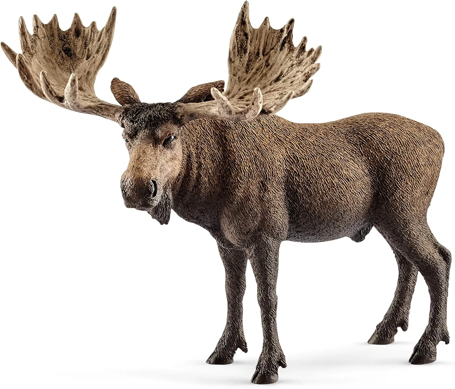 Schleich Wild Life Moose Bull Figurine - Wild Animal Toy Figurine, Durable for Education and Imaginative Play for Boys and Girls, Gift for Kids Ages 3 