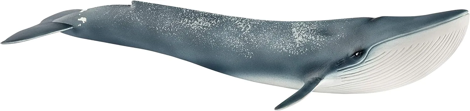 Schleich Wild Life Realistic Blue Whale Figurine - Authentic and Highly Detailed Aquatic Animal Toy, Durable for Education and Fun Play, Perfect for Boys and Girls, Ages 3 