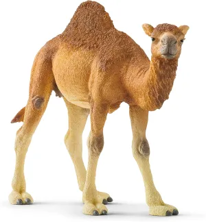 Schleich Wild Life Realistic Dromedary Camel Figurine - Authentic and Highly Detailed Wild Animal Toy, Durable for Education and Fun Play, Perfect for Boys and Girls, Ages 3 , Multicolor, 3.9 inch