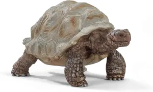 Schleich Wild Life Realistic Exotic Galapagos Giant Tortoise Figurine - Wild Animal Figurine Giant Tortoise Toy for Wildlife Play and Imagination for Toddlers Boys and Girls, Gift for Kids Age 3 