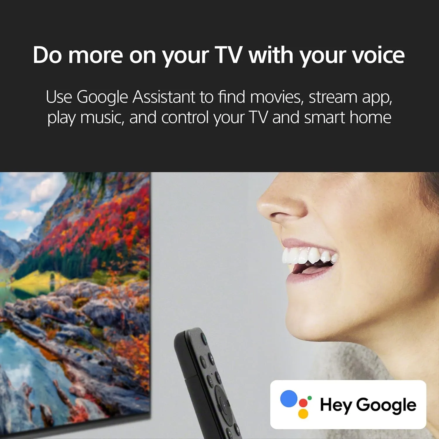 Sony 65 Inch 4K Ultra HD TV X77L Series: LED Smart Google TV KD65X77L- Latest Model, Black