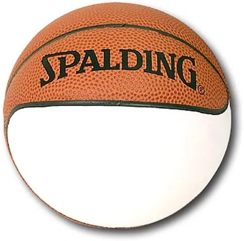 Spalding Nba Mini Autograph Basketball