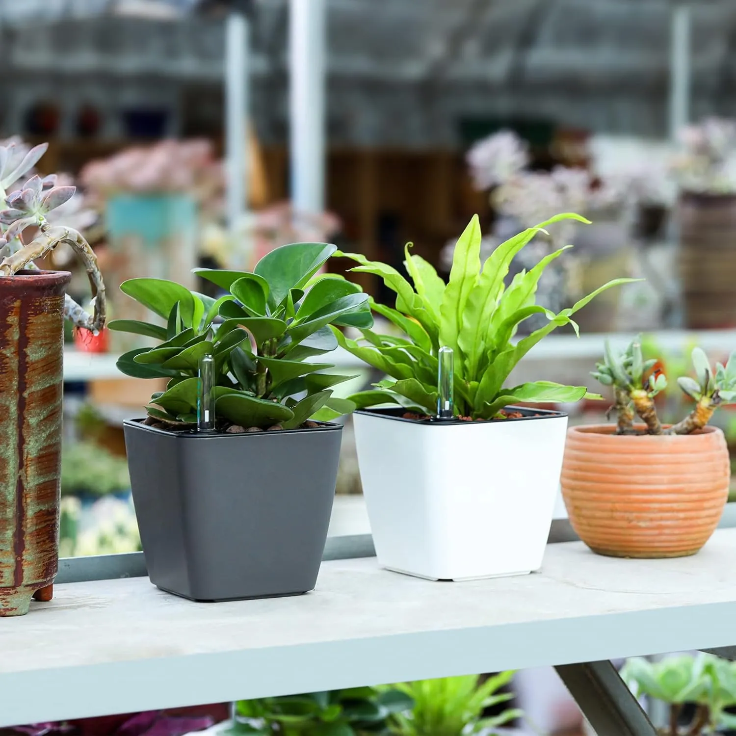 T4U 5.5 Inch Self Watering Plastic Planter with Water Level Indicator Pack of 6 - Grey, Modern Decorative Planter Flower Pot for House Plants, Herbs, Aloe, African Violets, Succulents and More