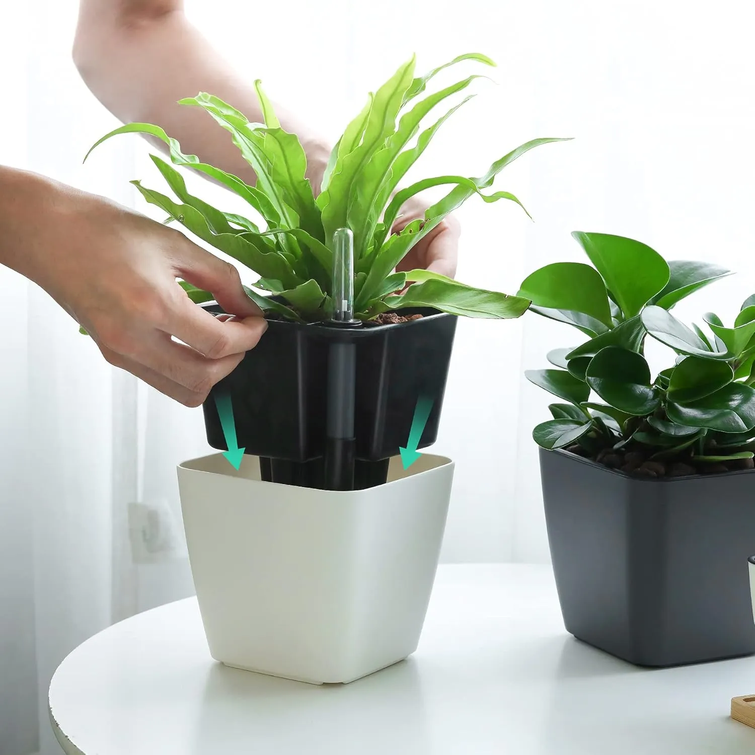T4U 5.5 Inch Self Watering Plastic Planter with Water Level Indicator Pack of 6 - Grey, Modern Decorative Planter Flower Pot for House Plants, Herbs, Aloe, African Violets, Succulents and More