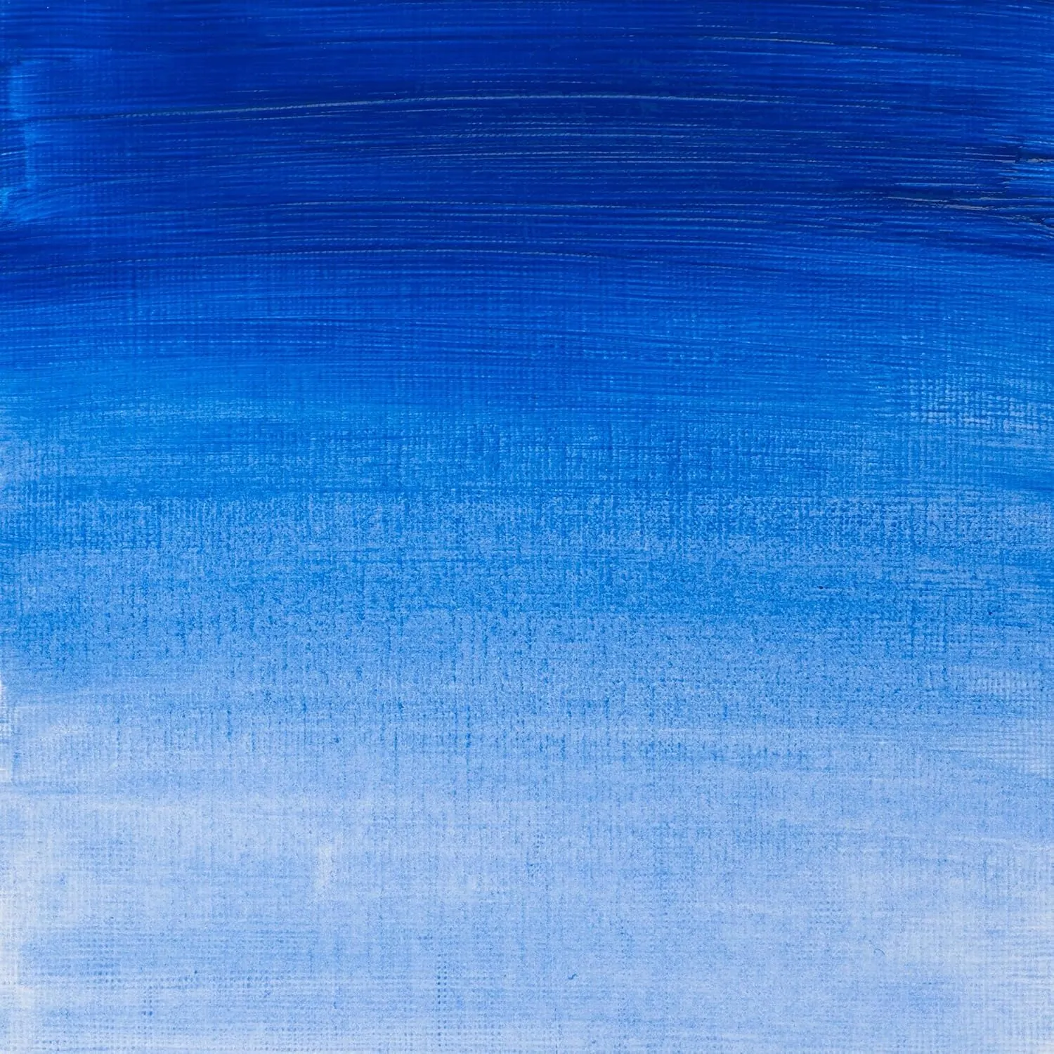 Winsor & Newton 8840533 Artisan Water-Mixable Oil Paint, High Pigment Concentration, Good Coverage & Light Fastness - 37 ml Tube, Cobalt Blue
