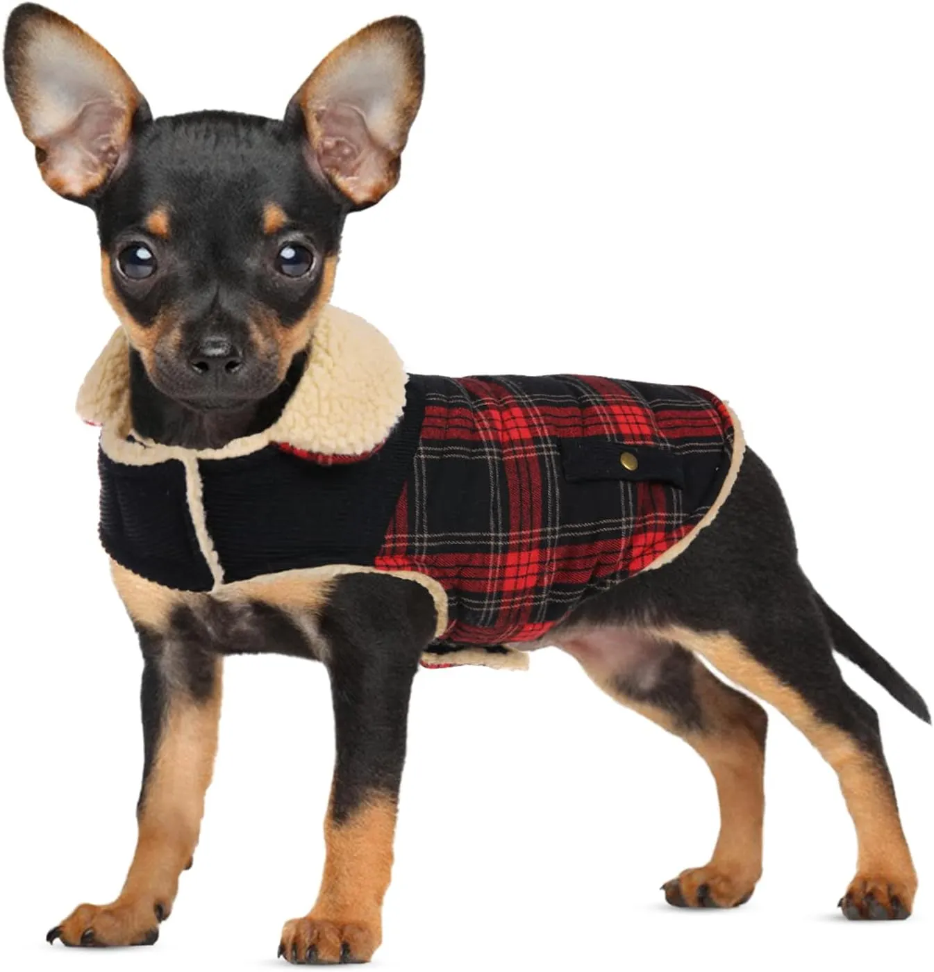 Winter Coat for Small Dogs, Puppy Plaid Jacket, Cotton Coat for Cold Weather, Windproof Warm Dog Garments, Pet Thickened Outfits Indoor Outdoor, Red XS